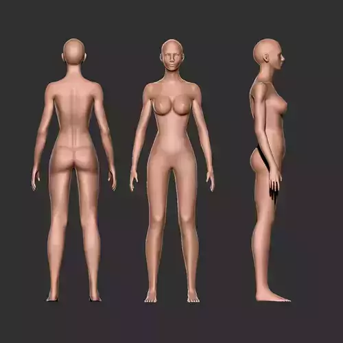 Human Female Anatomy Reference for Artists 3D model