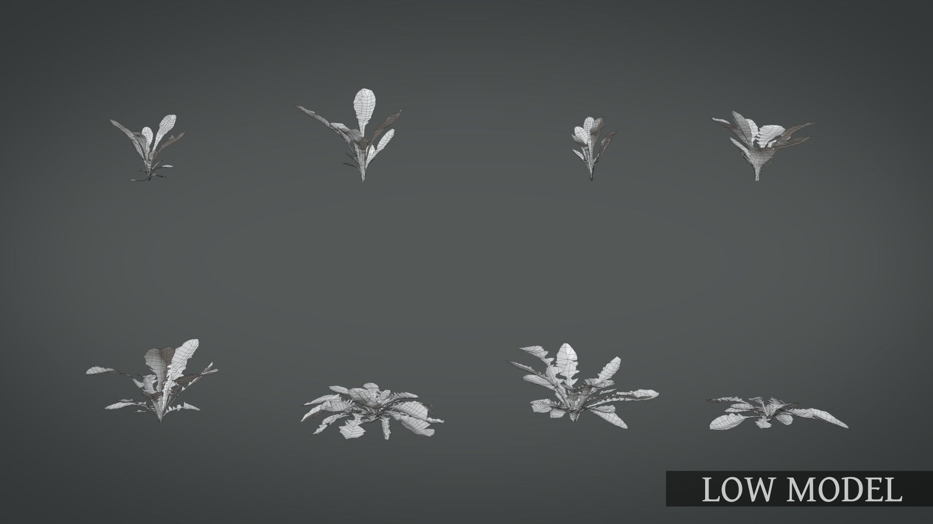 Dandelion and dandelions in grass 3D model_13