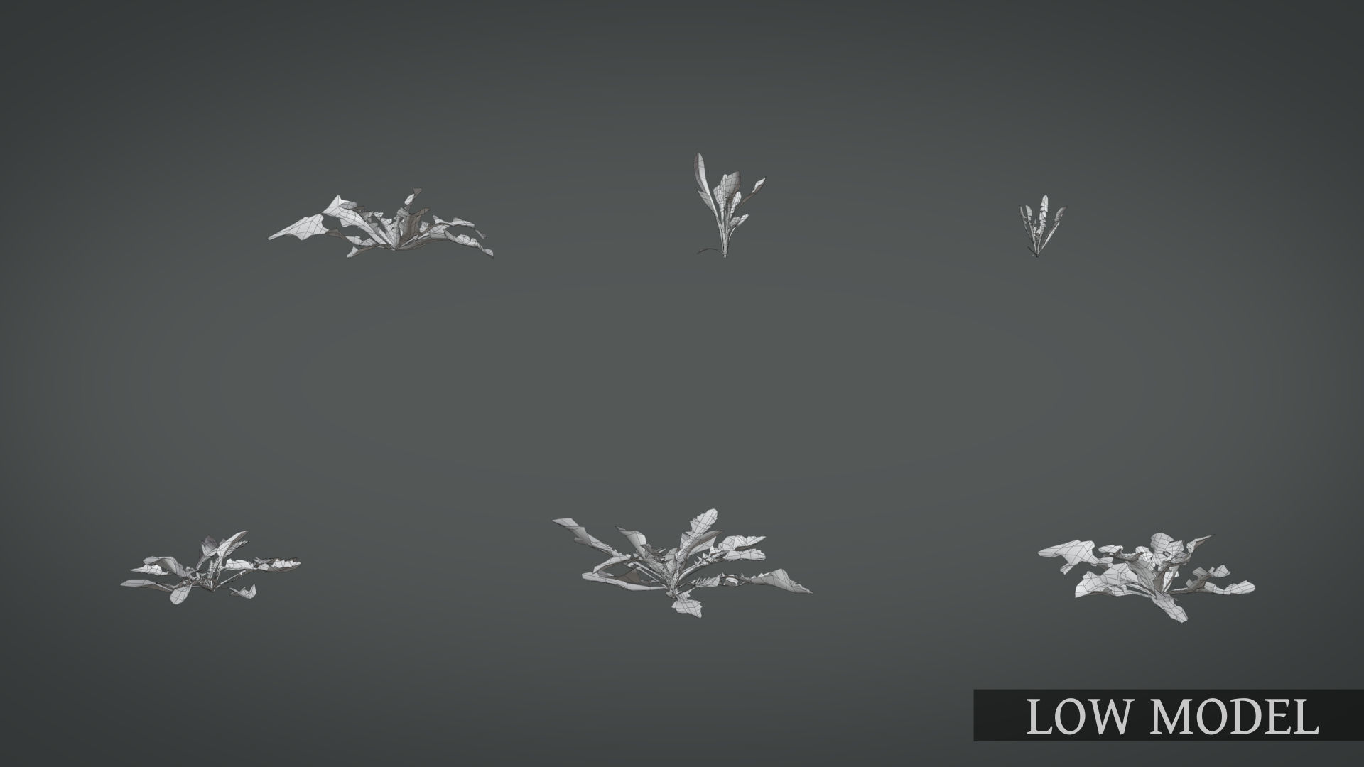 Dandelion and dandelions in grass 3D model_12