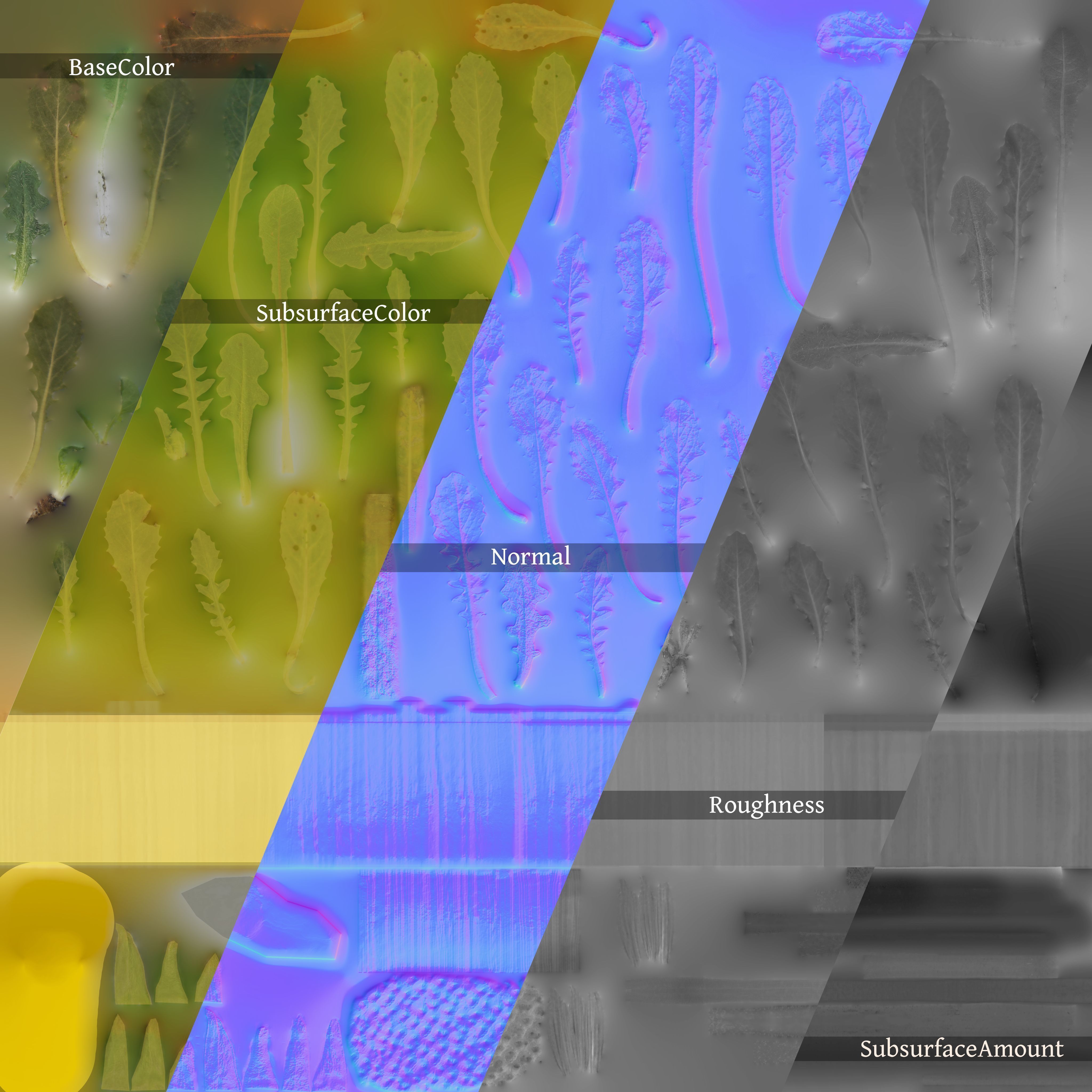 Dandelion and dandelions in grass 3D model_9