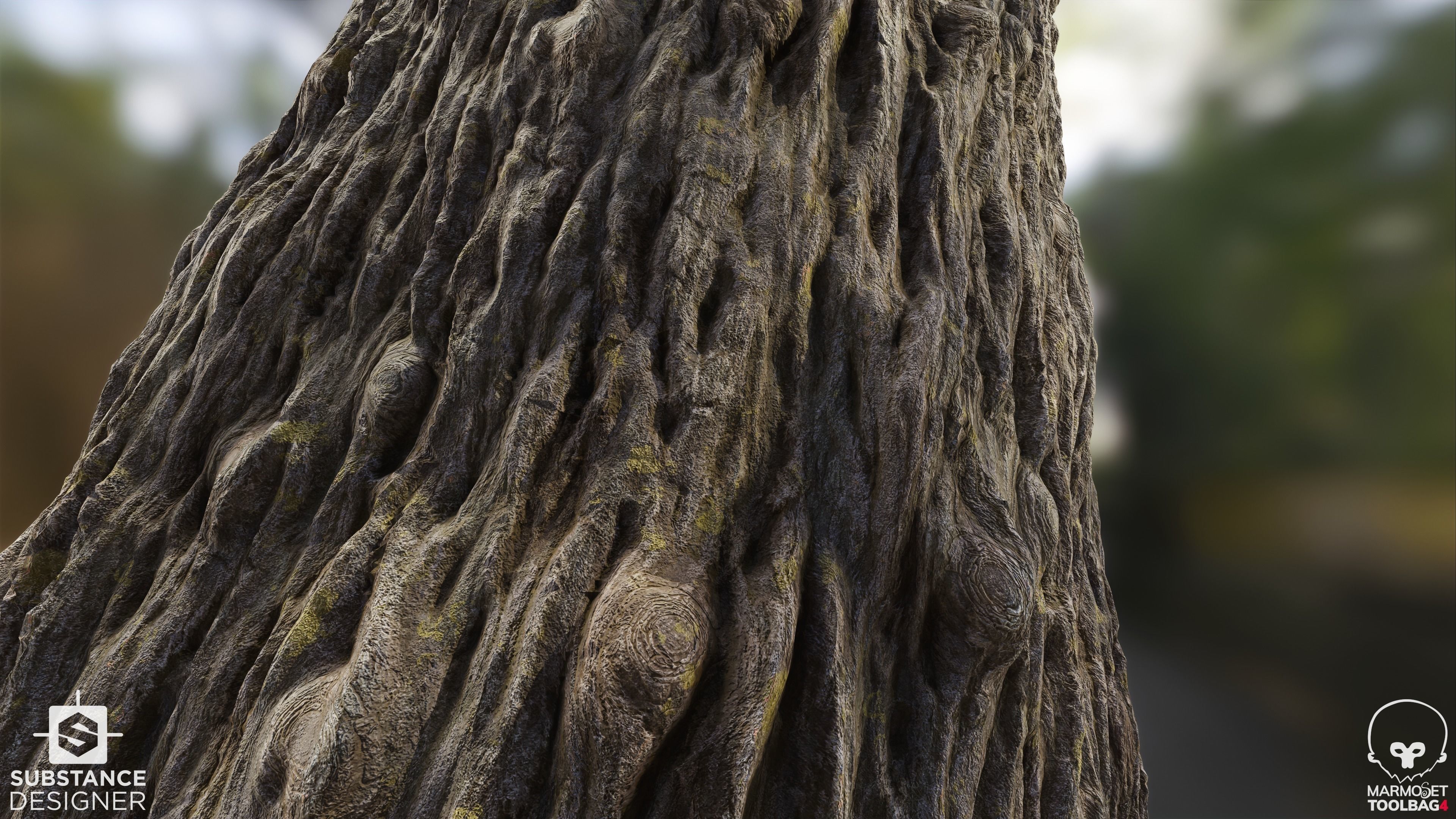 Tree Bark - Substance Designer Texture_1