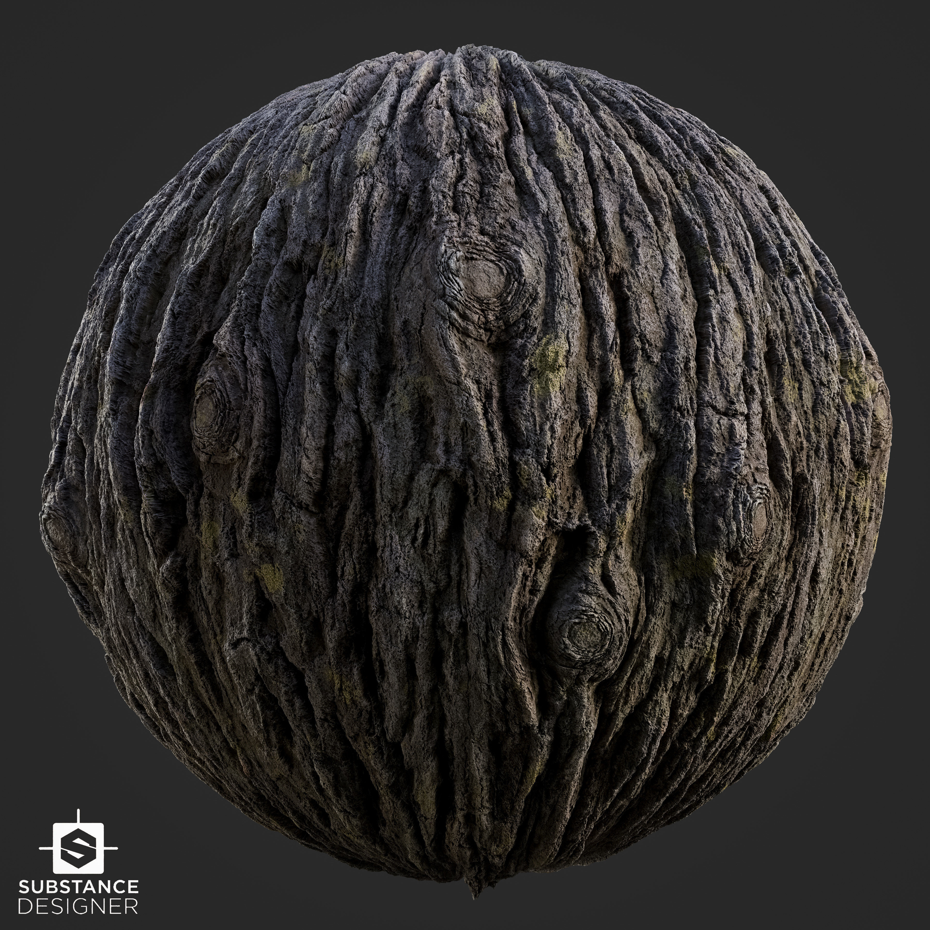 Tree Bark - Substance Designer Texture_2