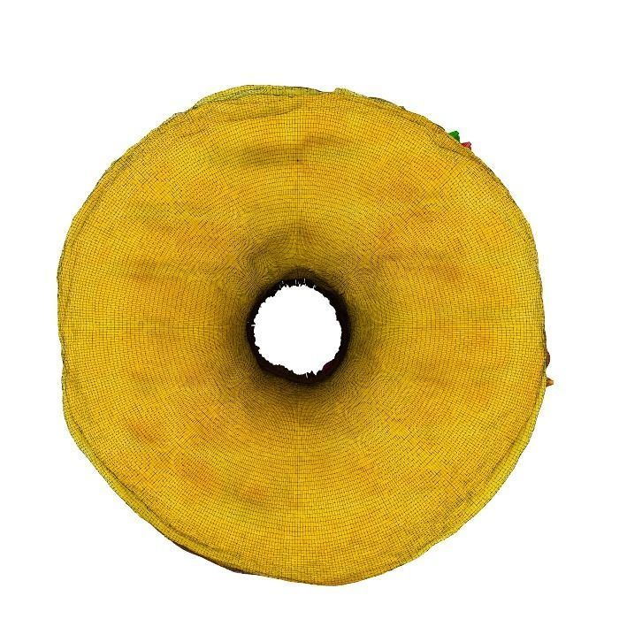 026 Donut chock color toping Scan 3D model with UV map 3D model_16