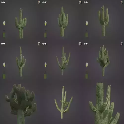 2021 PBR Giant Saguaro Collection - Carnegia Gigantea  3D model