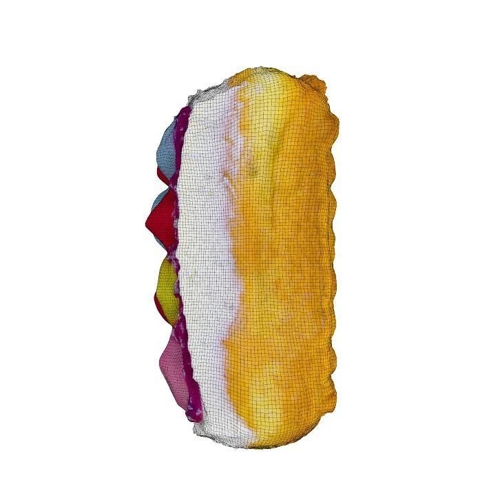 042 Donut bun dots Scan 3D model with UV map 3D model_12