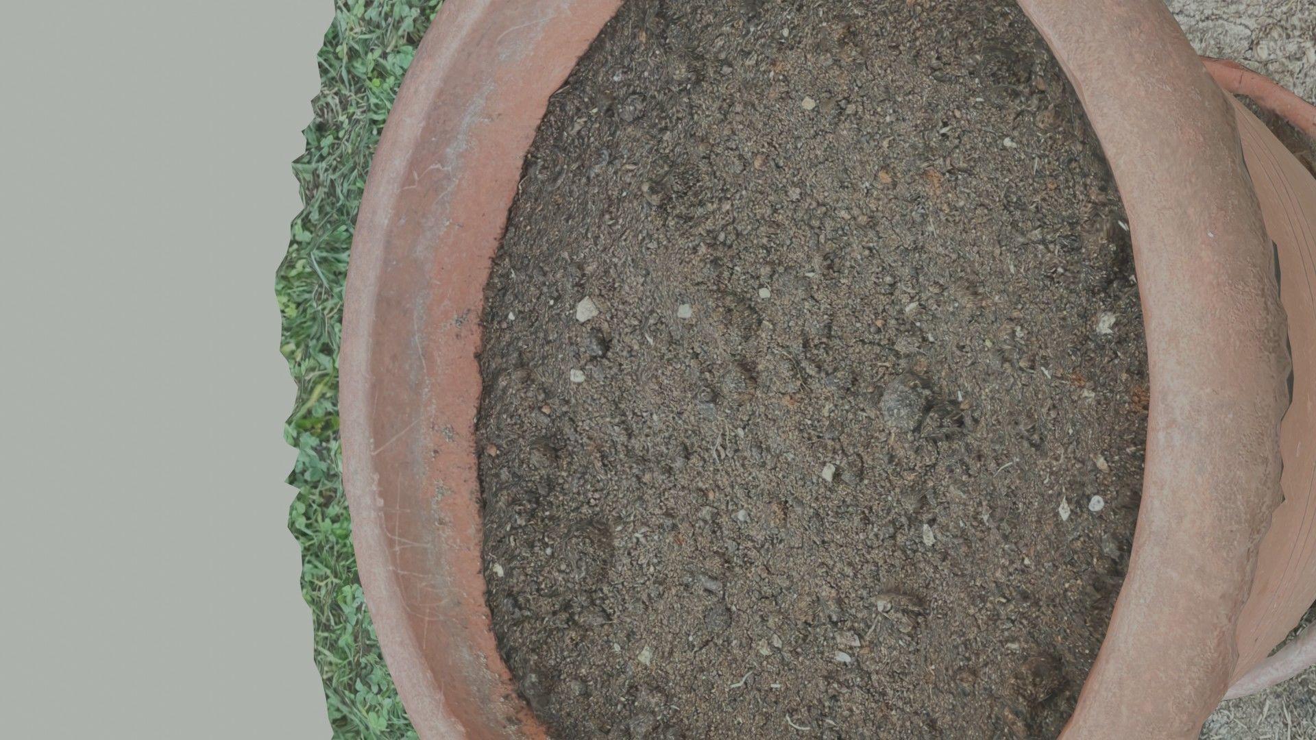 Flower vase - scanned 3D model_22