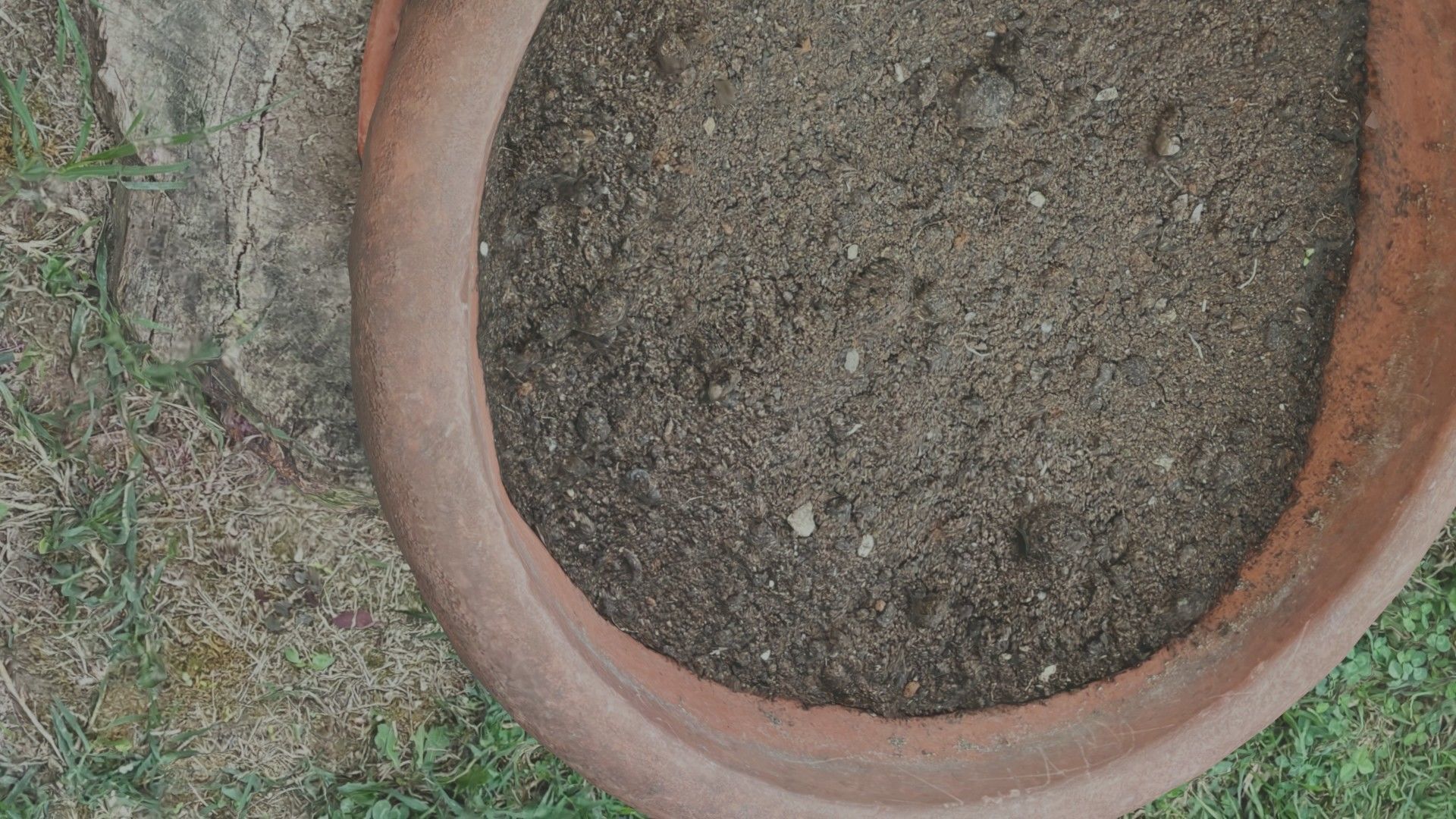 Flower vase - scanned 3D model_1