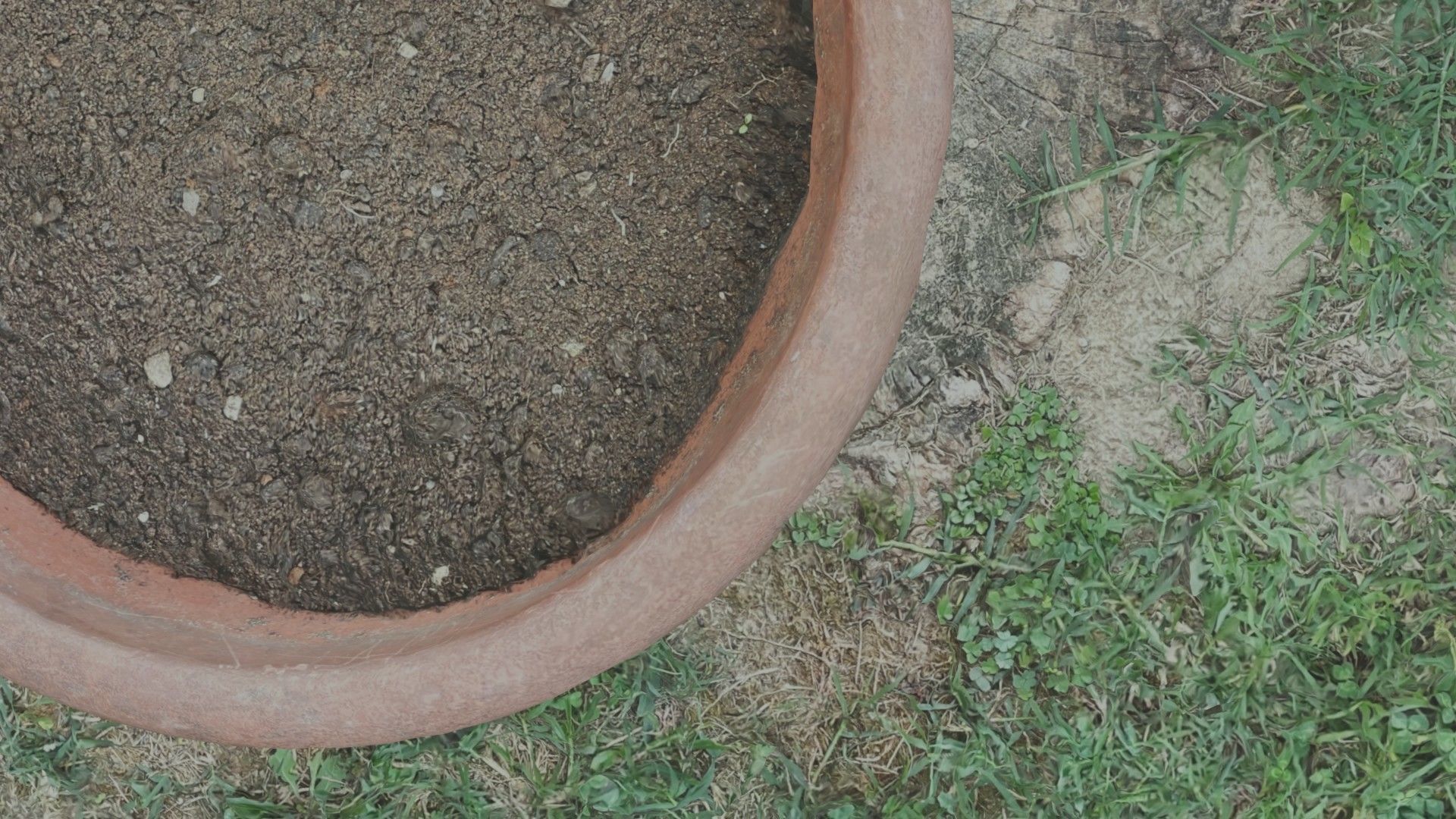 Flower vase - scanned 3D model_44