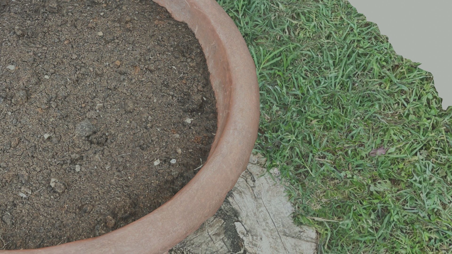 Flower vase - scanned 3D model_23