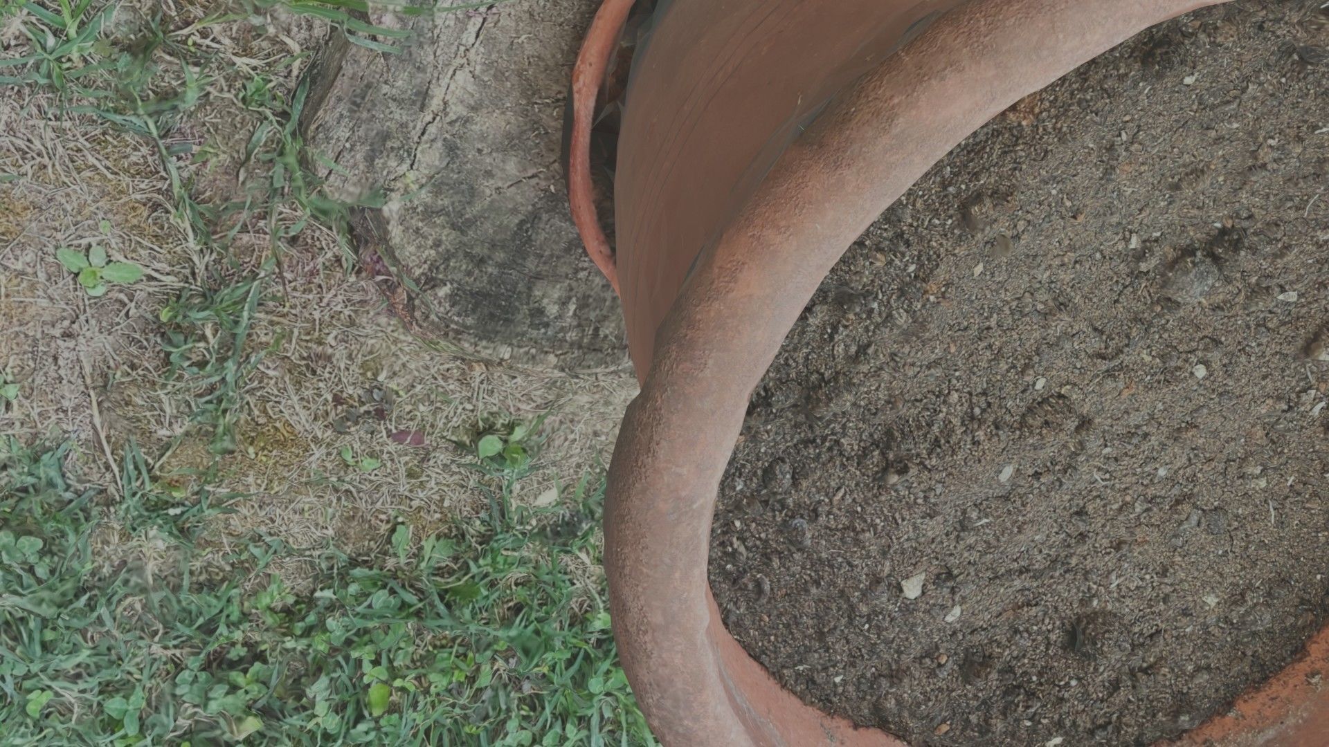 Flower vase - scanned 3D model_5