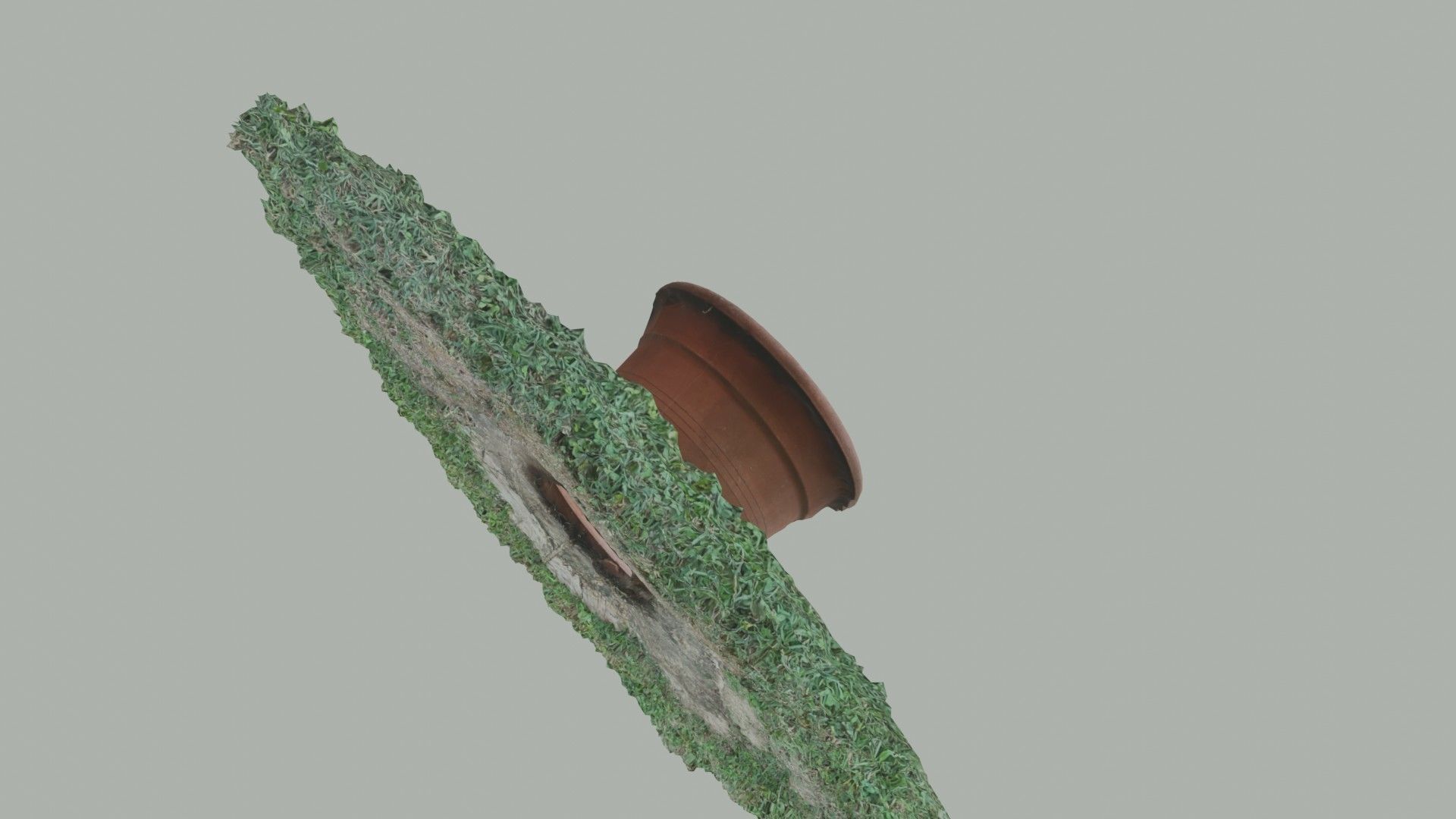 Flower vase - scanned 3D model_26