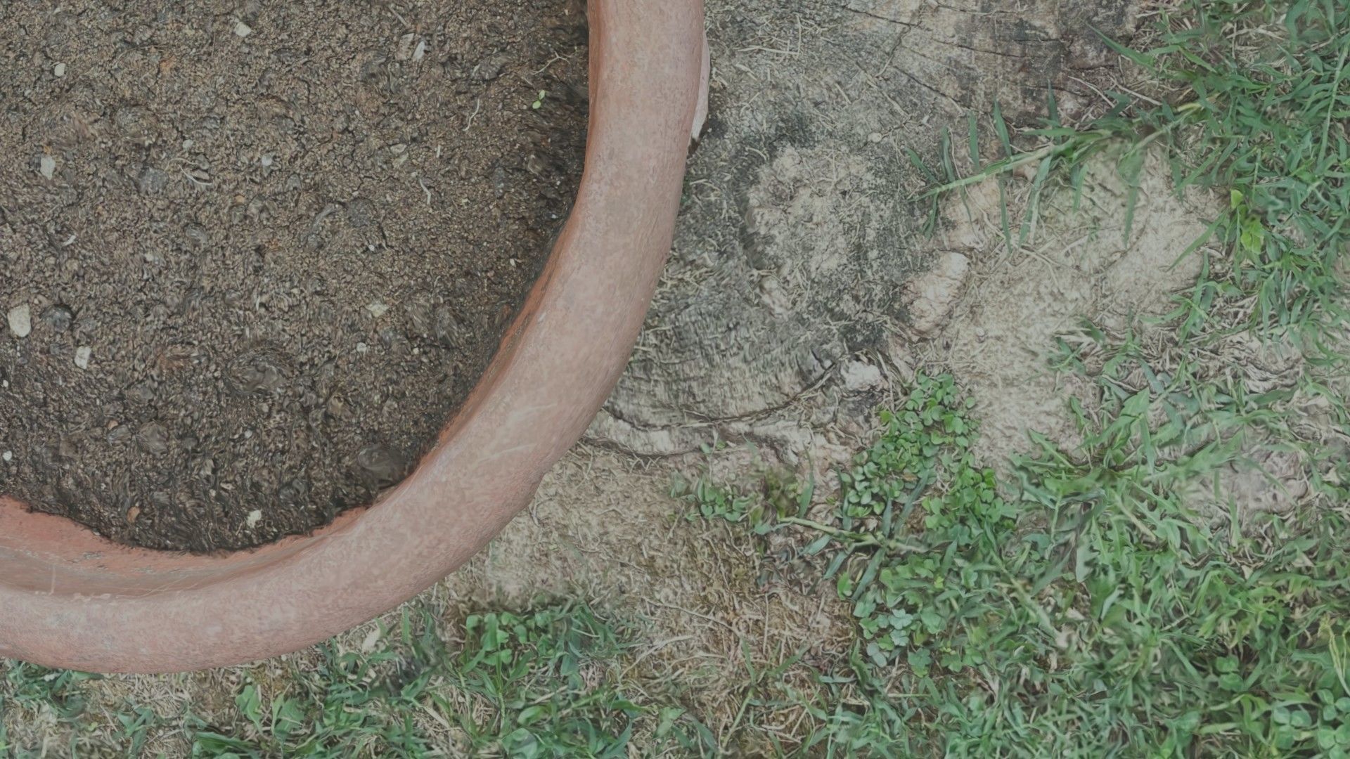 Flower vase - scanned 3D model_8