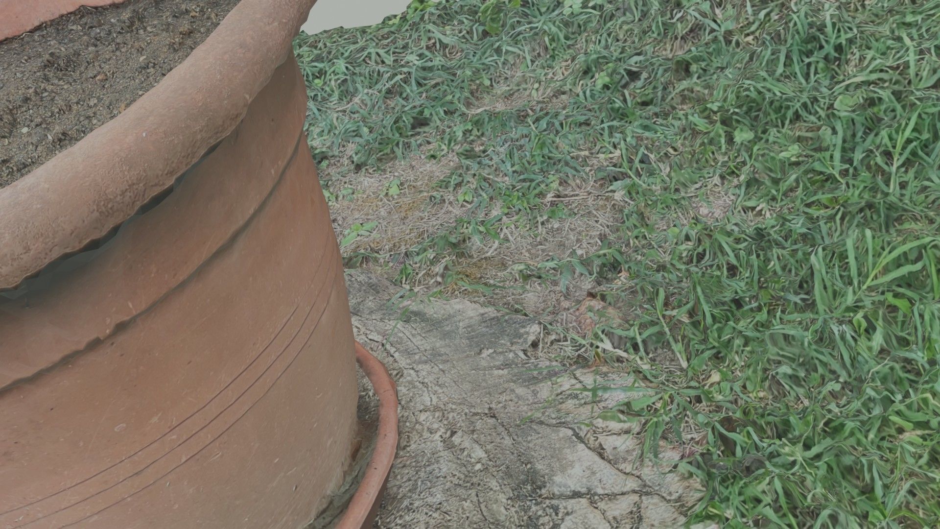 Flower vase - scanned 3D model_53