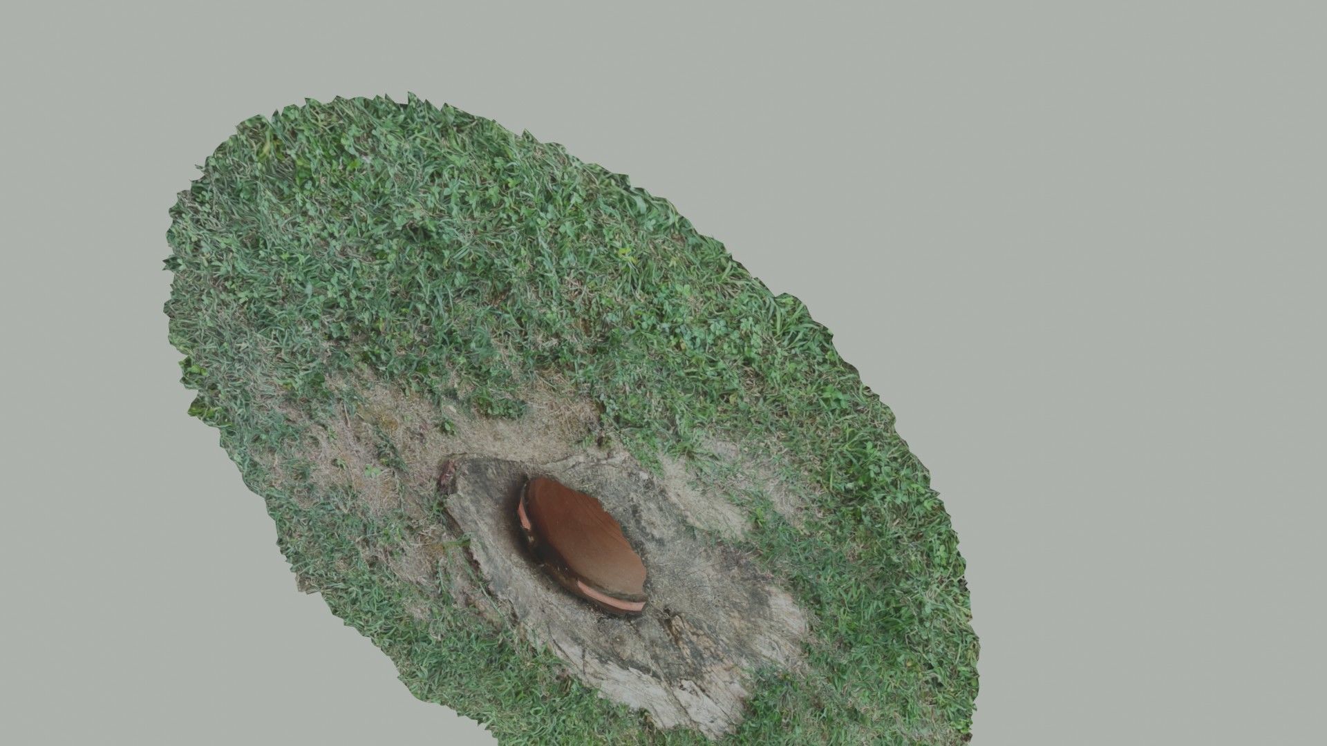 Flower vase - scanned 3D model_25