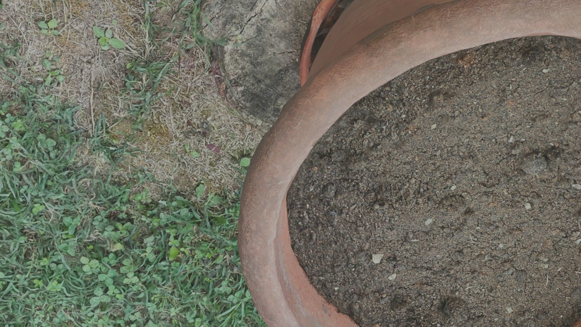 Flower vase - scanned 3D model_60