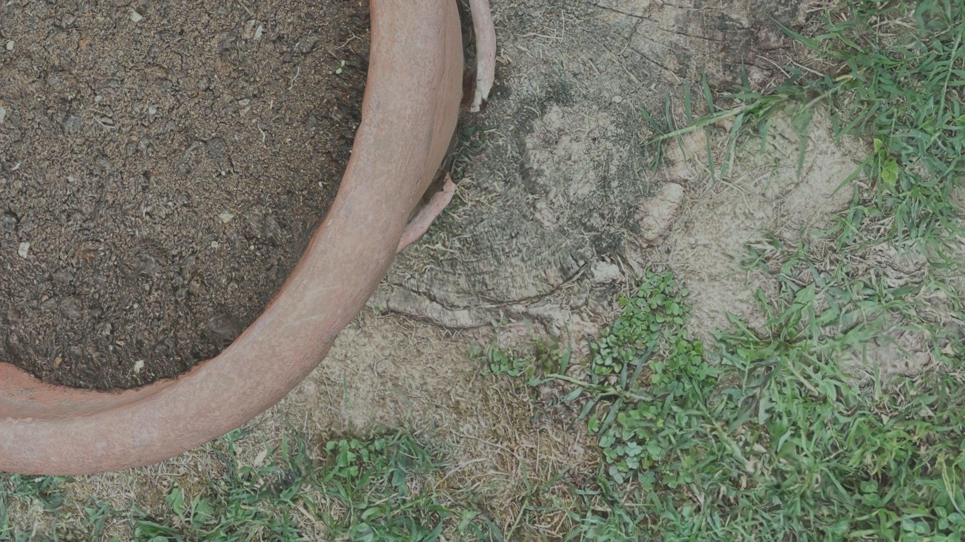 Flower vase - scanned 3D model_16