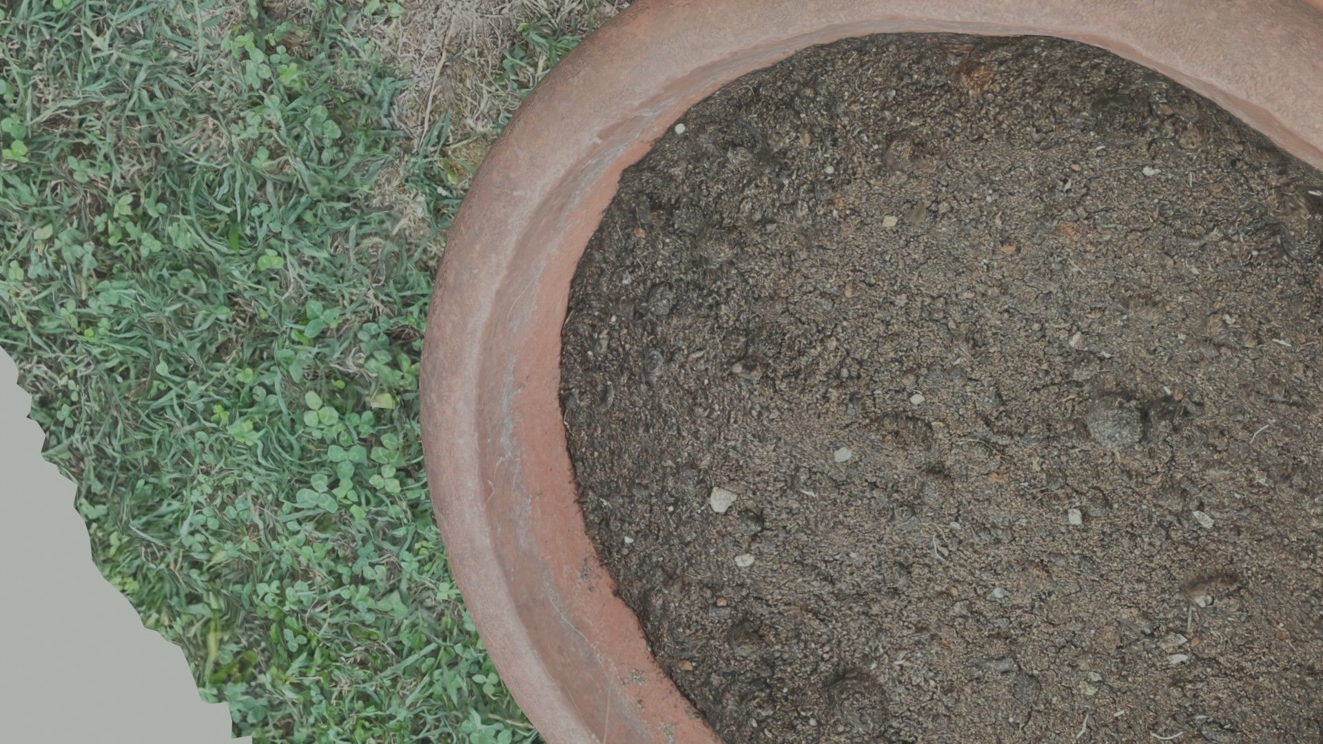 Flower vase - scanned 3D model_13