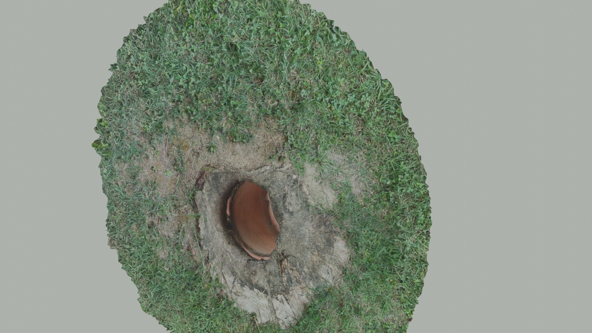 Flower vase - scanned 3D model_24