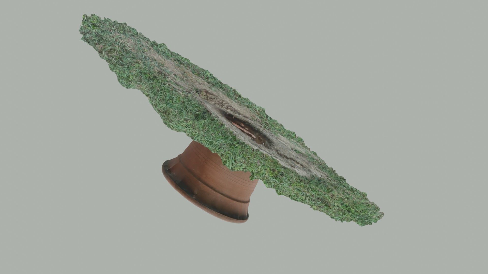 Flower vase - scanned 3D model_10