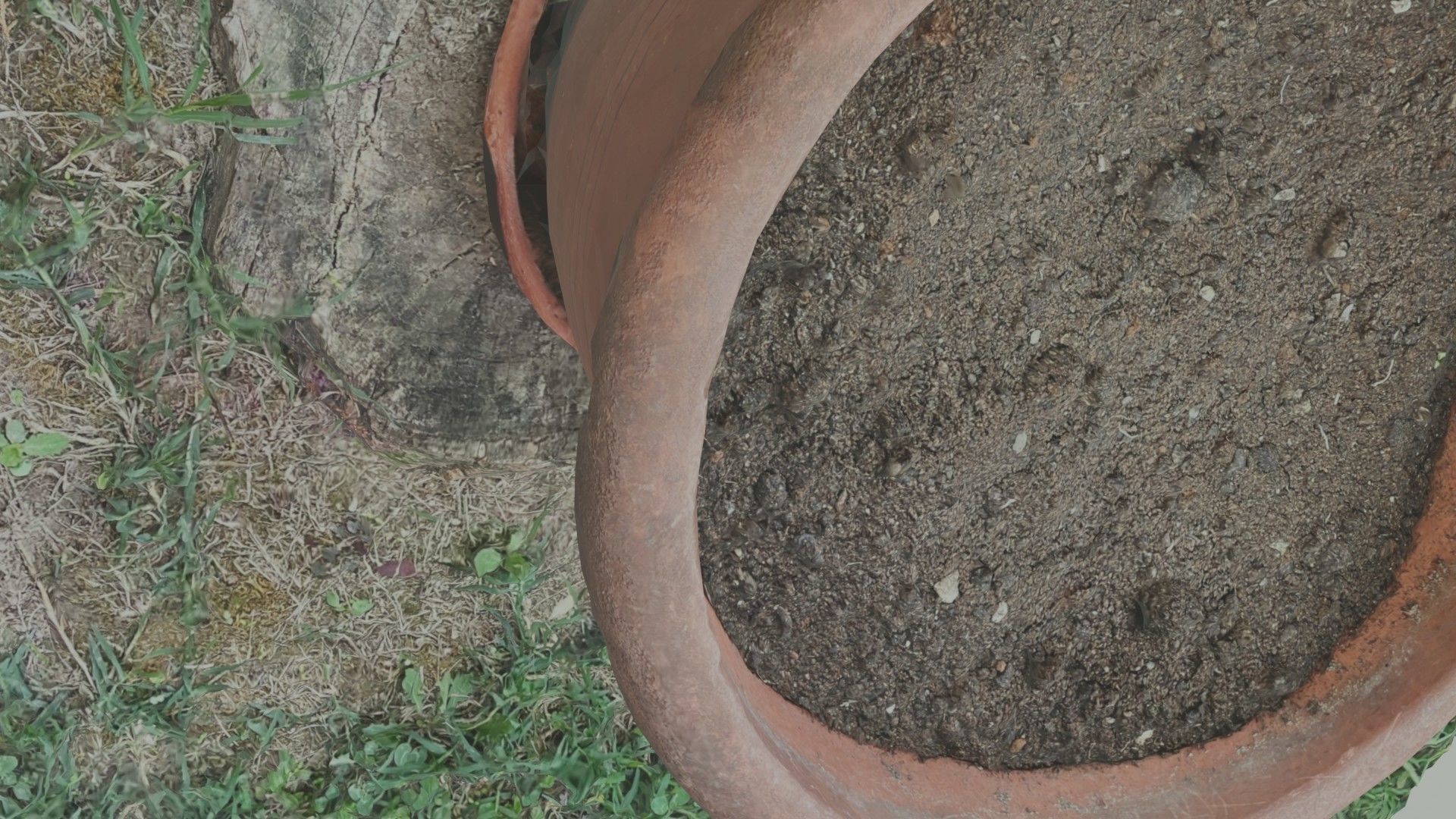 Flower vase - scanned 3D model_68