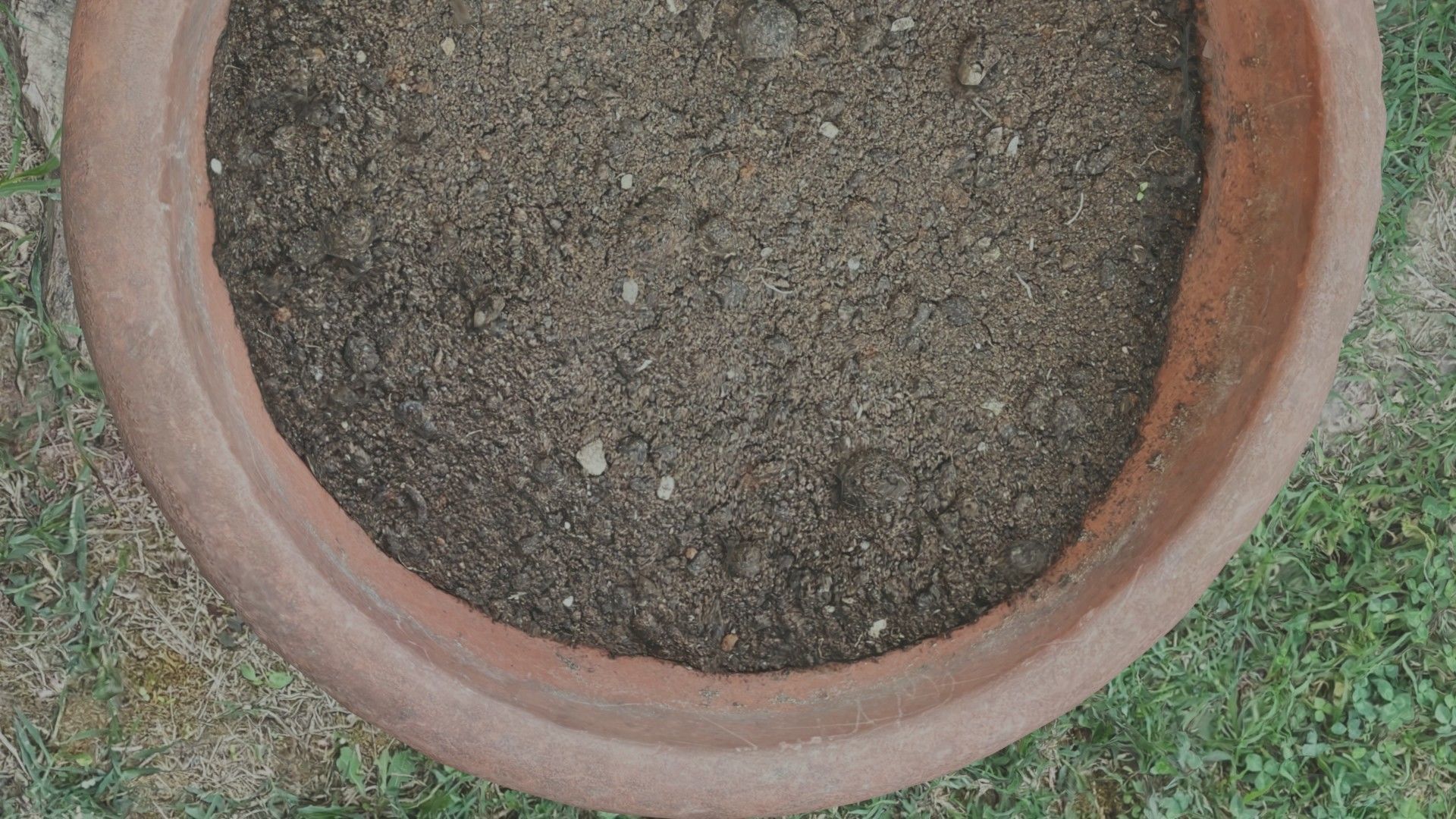 Flower vase - scanned 3D model_50