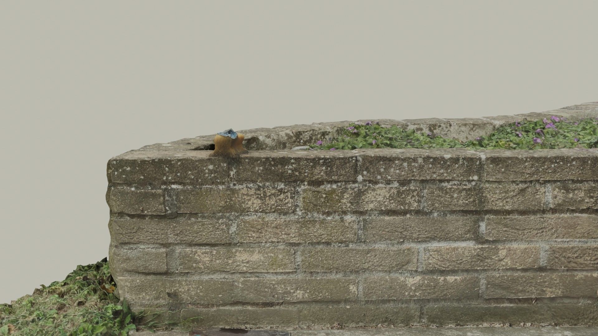 Flowerbed angle curved garden decoration SCANNED MODEL 3D model_43