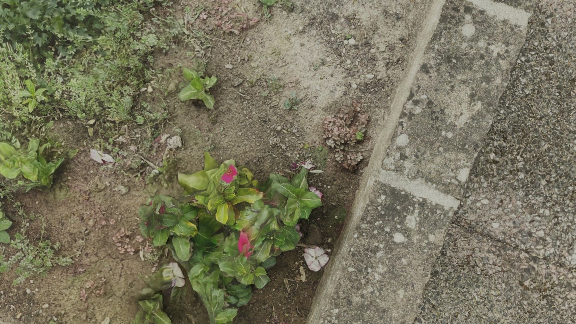 Flowerbed angle curved garden decoration SCANNED MODEL 3D model_53