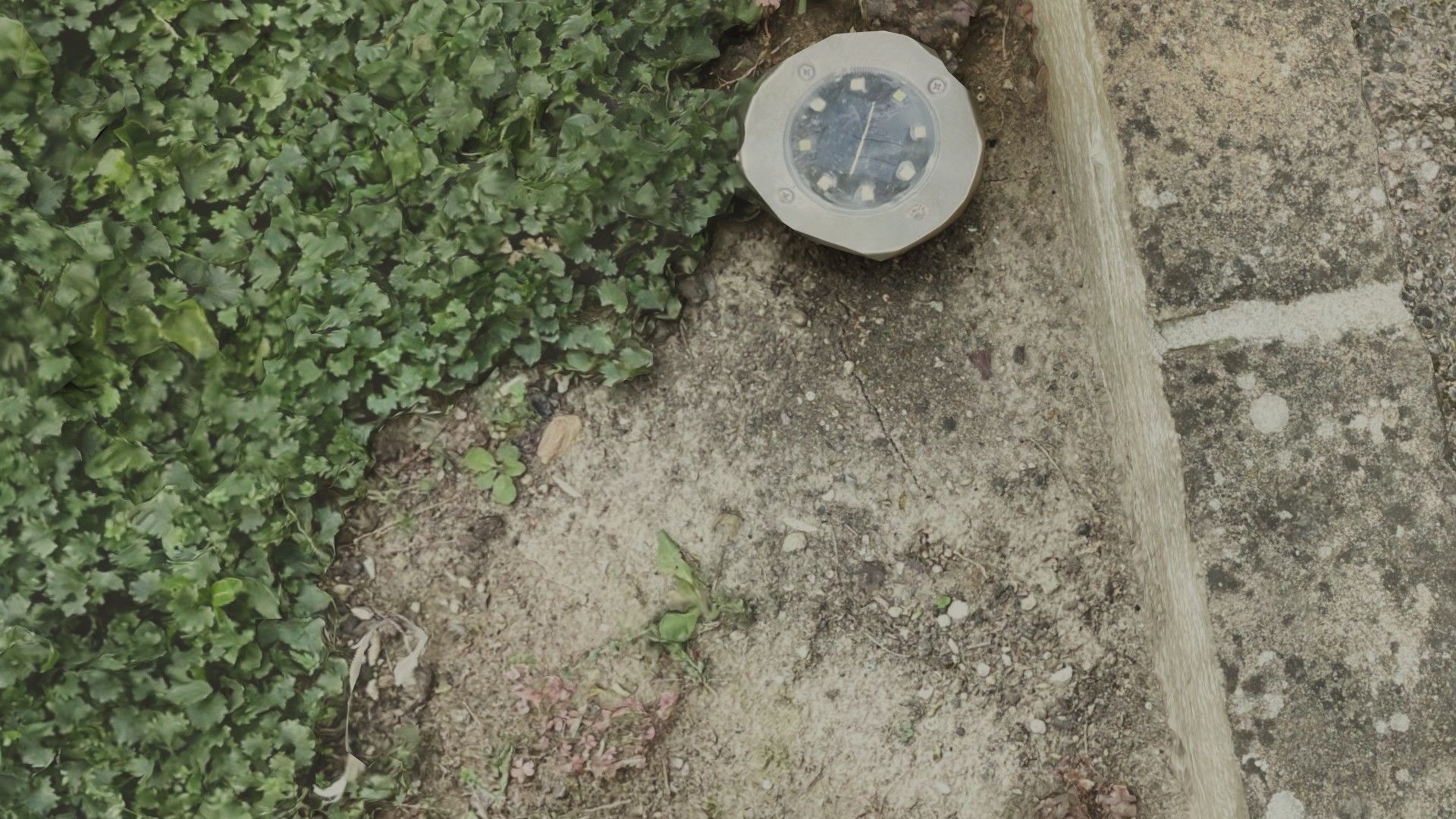 Flowerbed angle curved garden decoration SCANNED MODEL 3D model_46