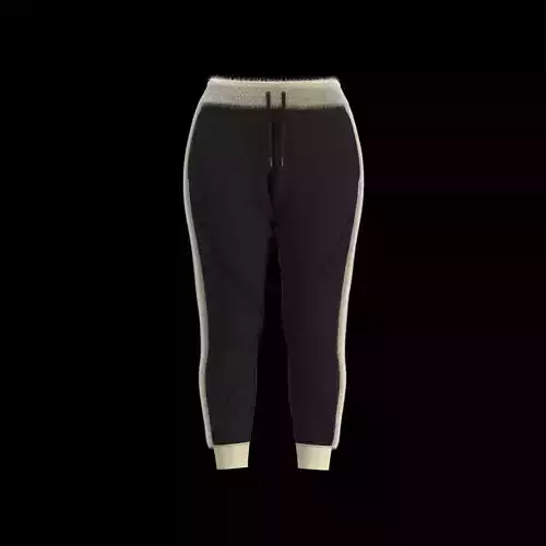 Ladies Pant