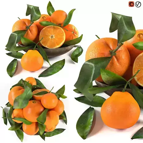 bowl of oranges 3D model