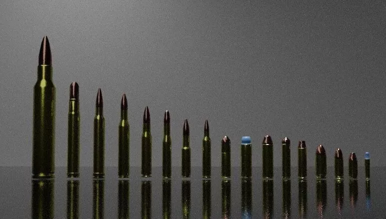 ammo types Free Free 3D model