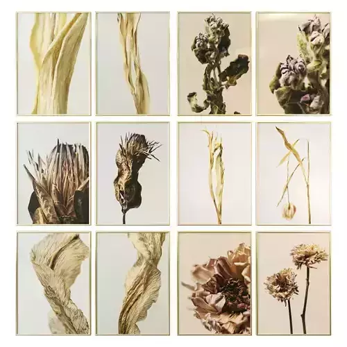 Dried flower posters