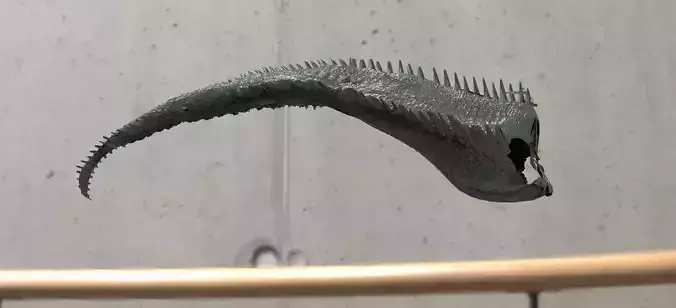 Dragon Tail