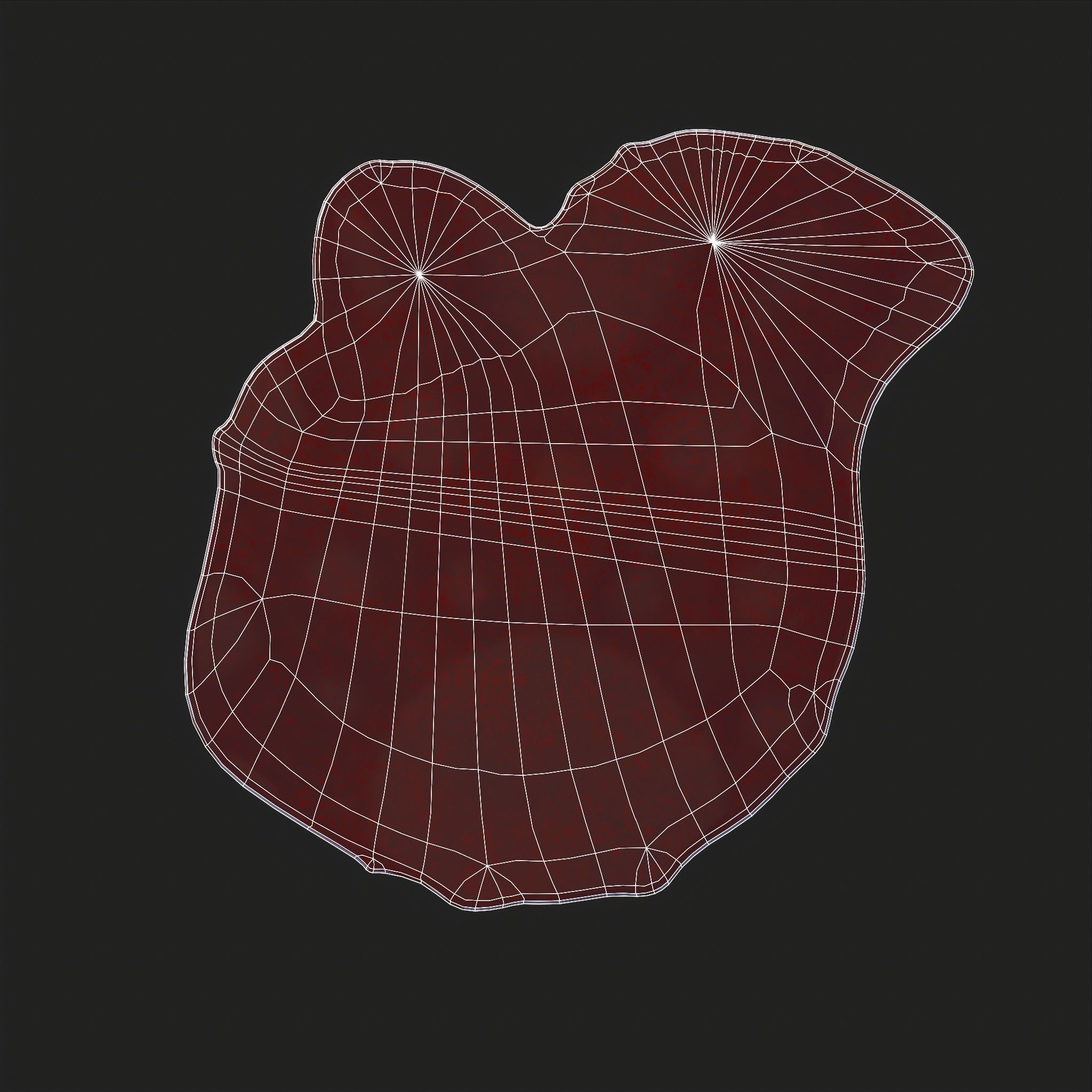 Blood Splatter Low-poly 3D model_21
