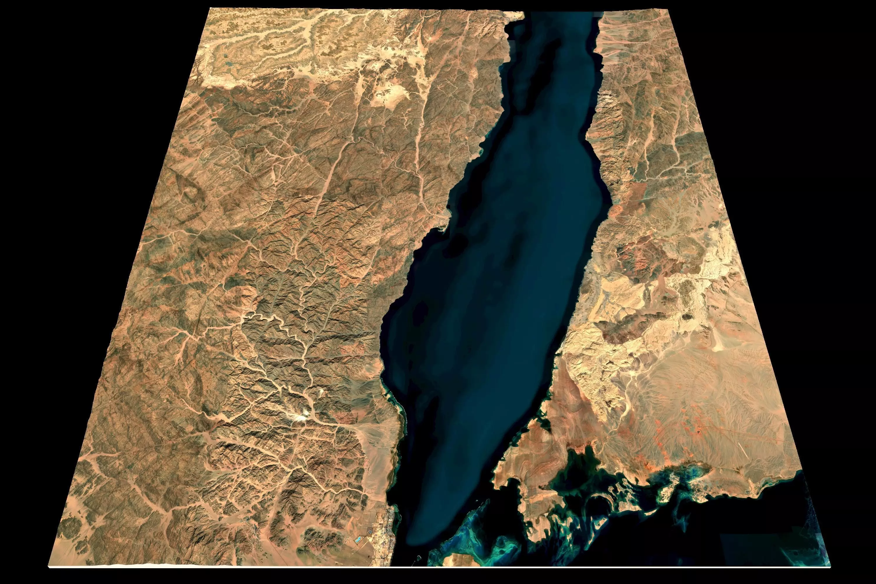 NEOM city topography Saudi Arabia - tile n28 e34 3D model