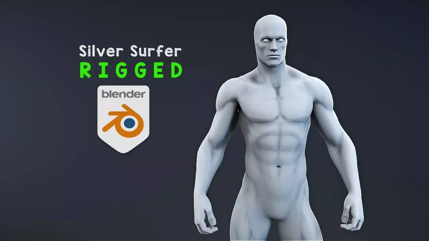Silver Surfer and Glider rigged 3D model_0
