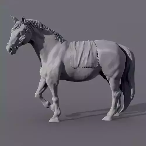 Horse 