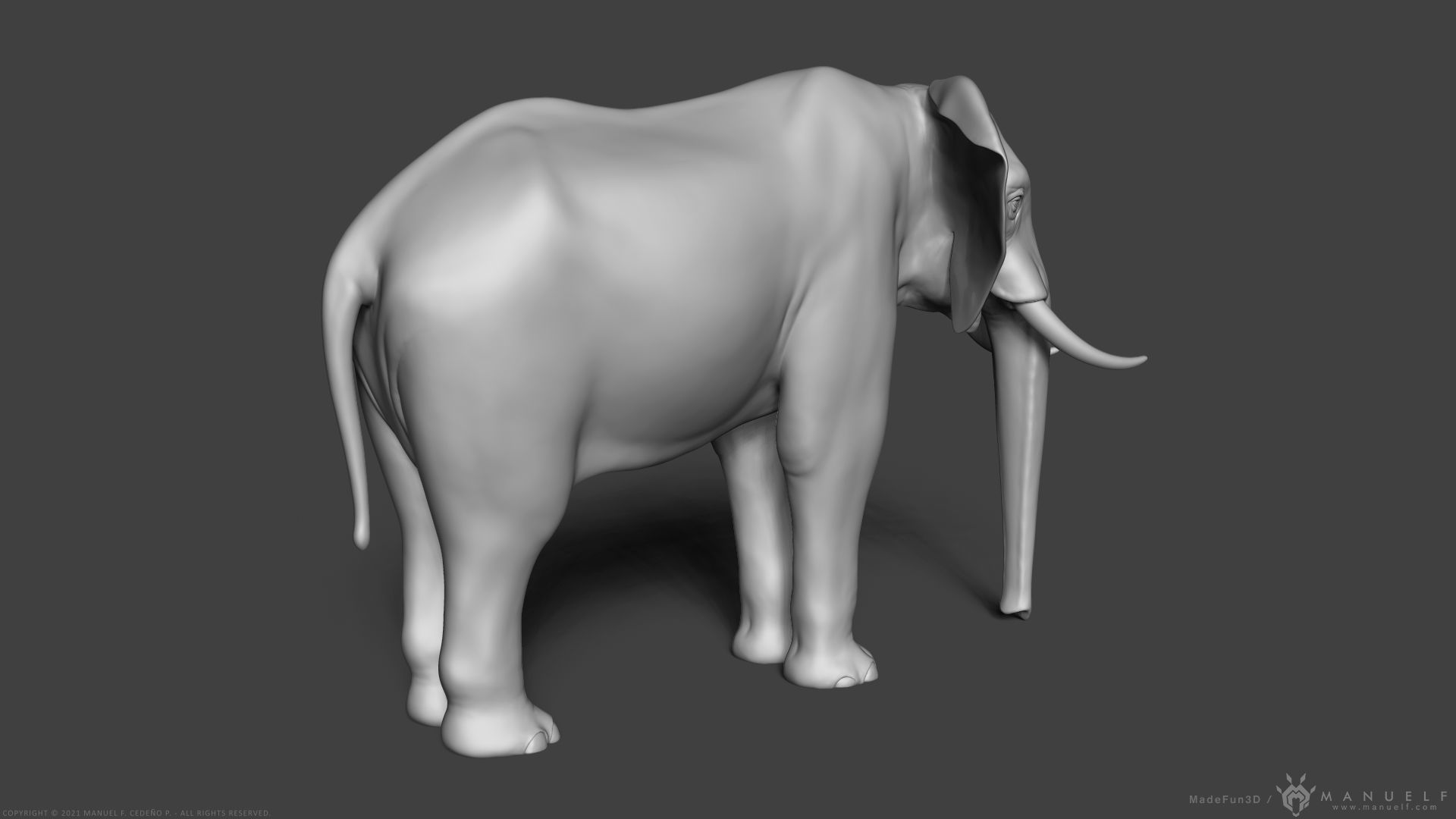 African Bush Elephant 3D model_4