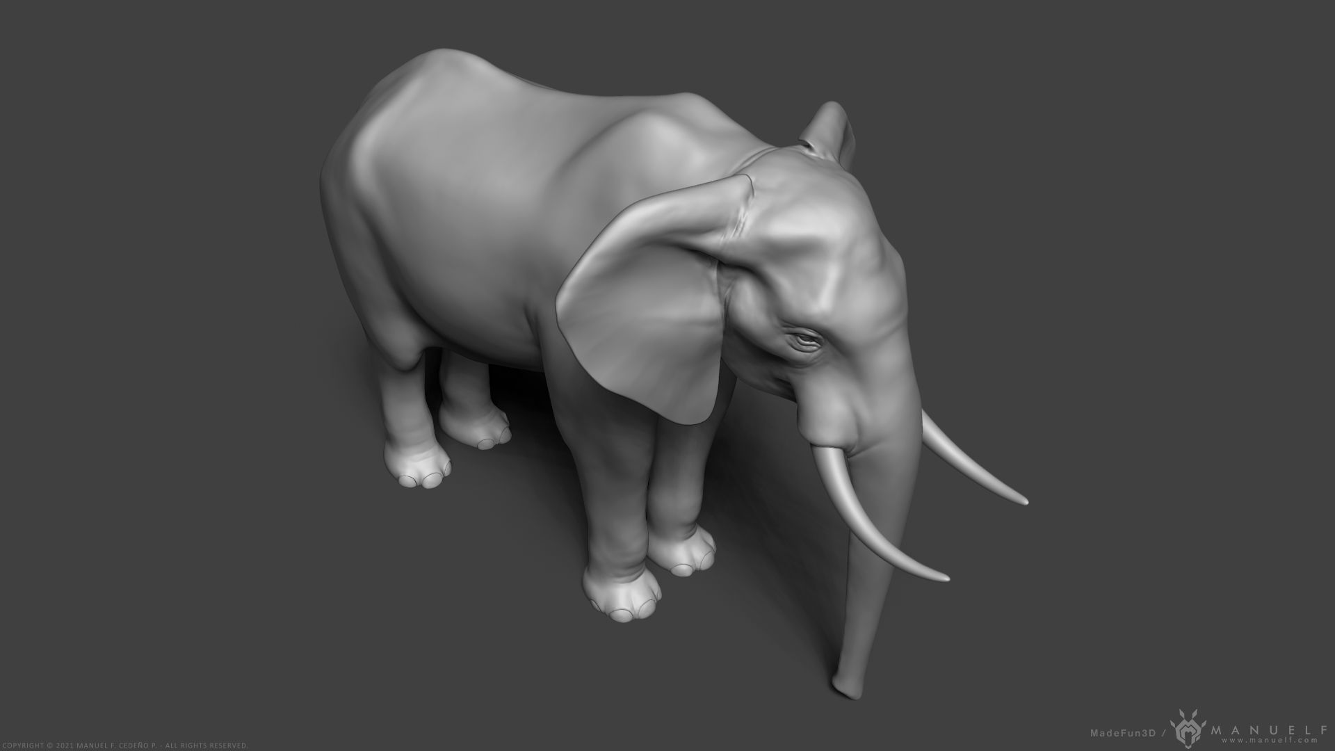 African Bush Elephant 3D model_5