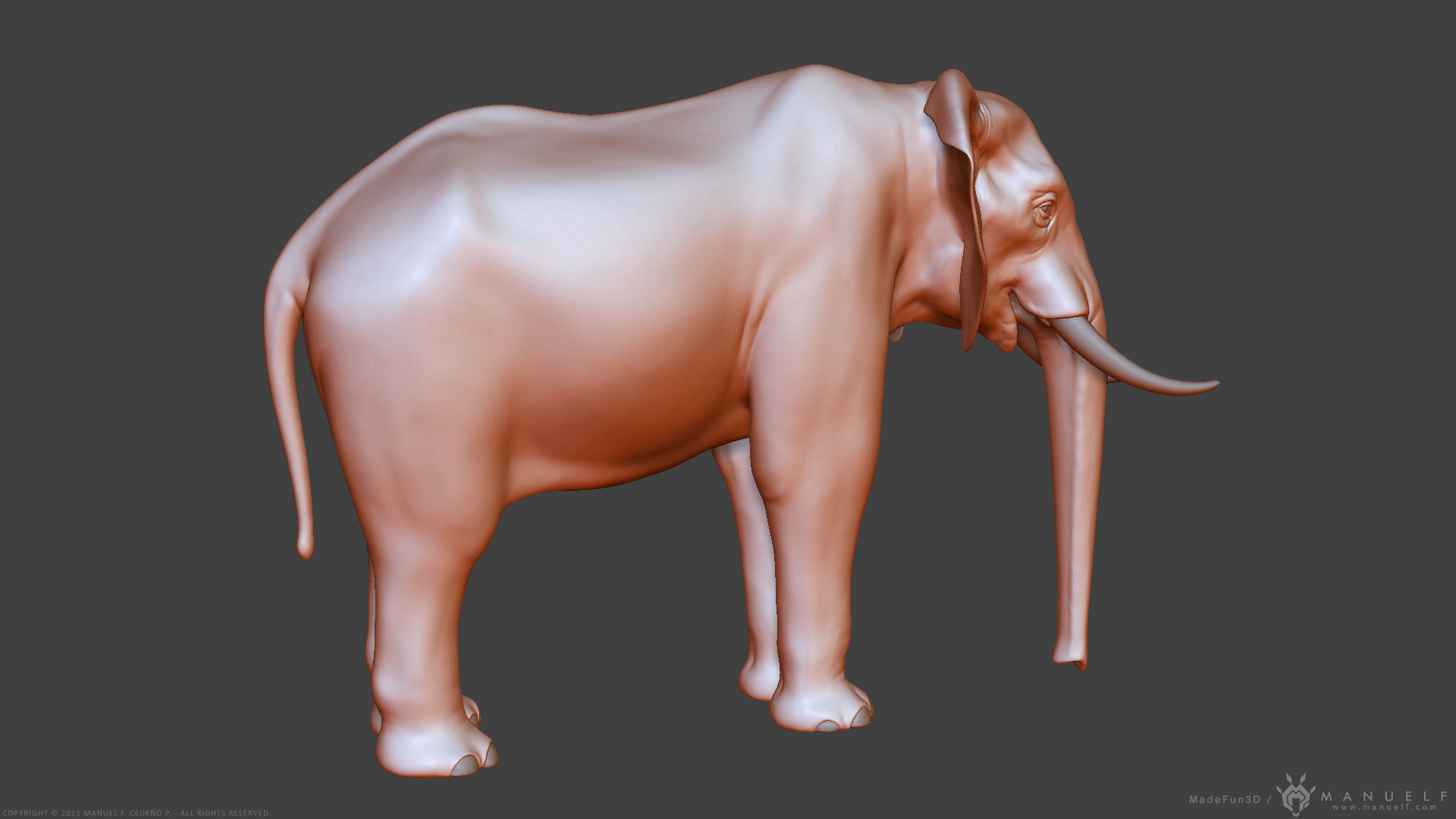 African Bush Elephant 3D model_17