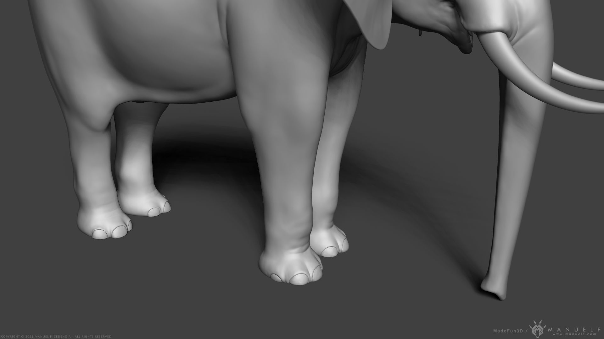 African Bush Elephant 3D model_12