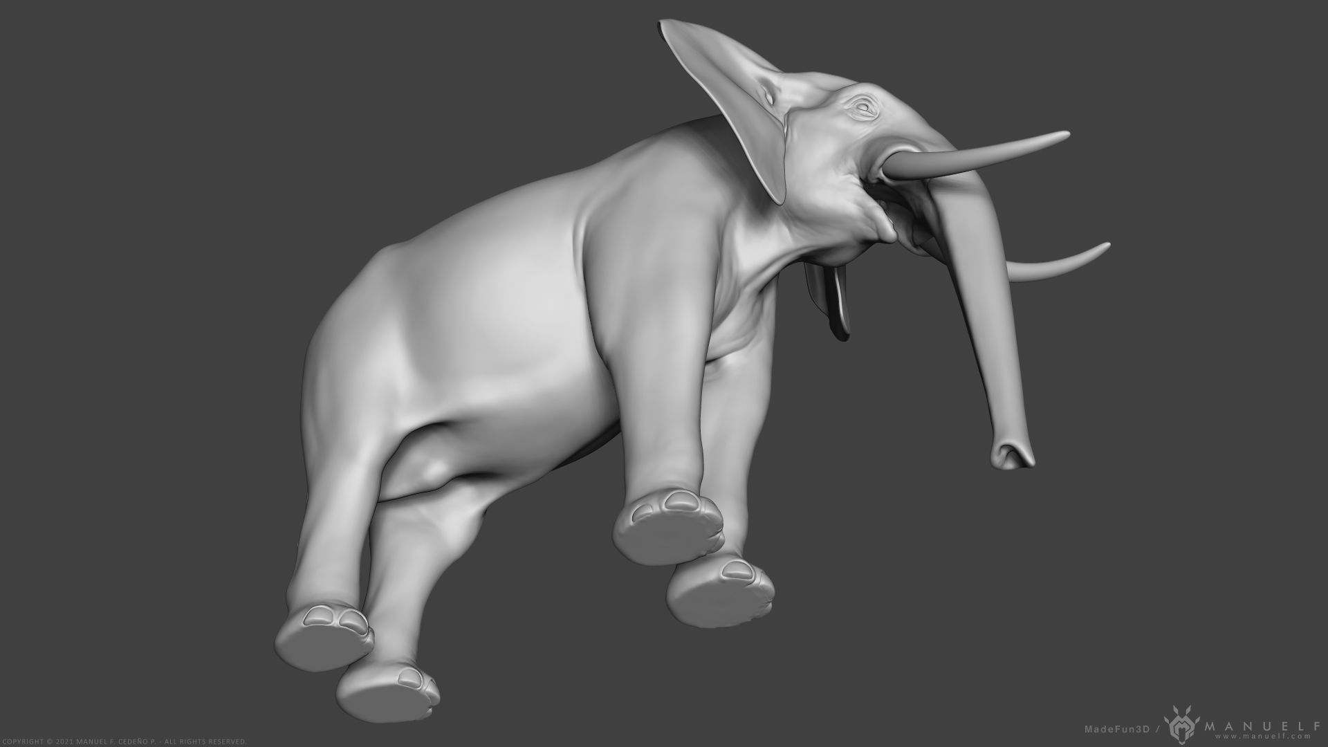African Bush Elephant 3D model_7