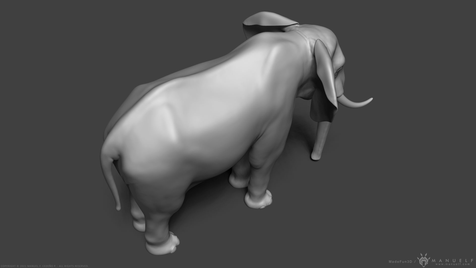 African Bush Elephant 3D model_6