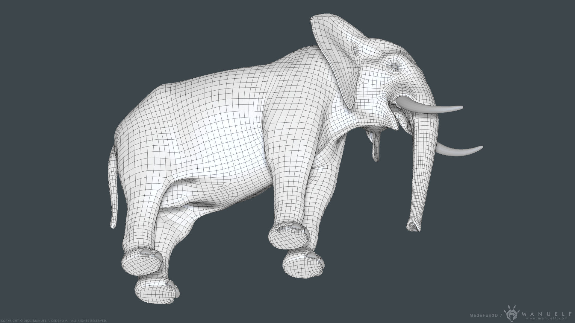 African Bush Elephant 3D model_28