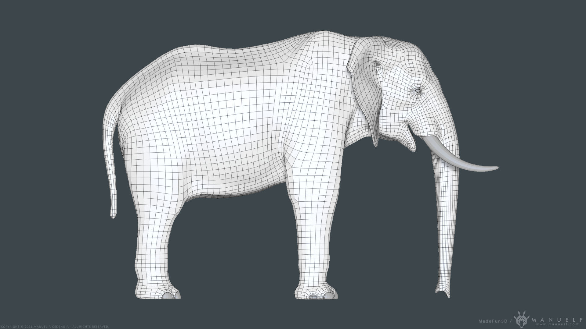 African Bush Elephant 3D model_29