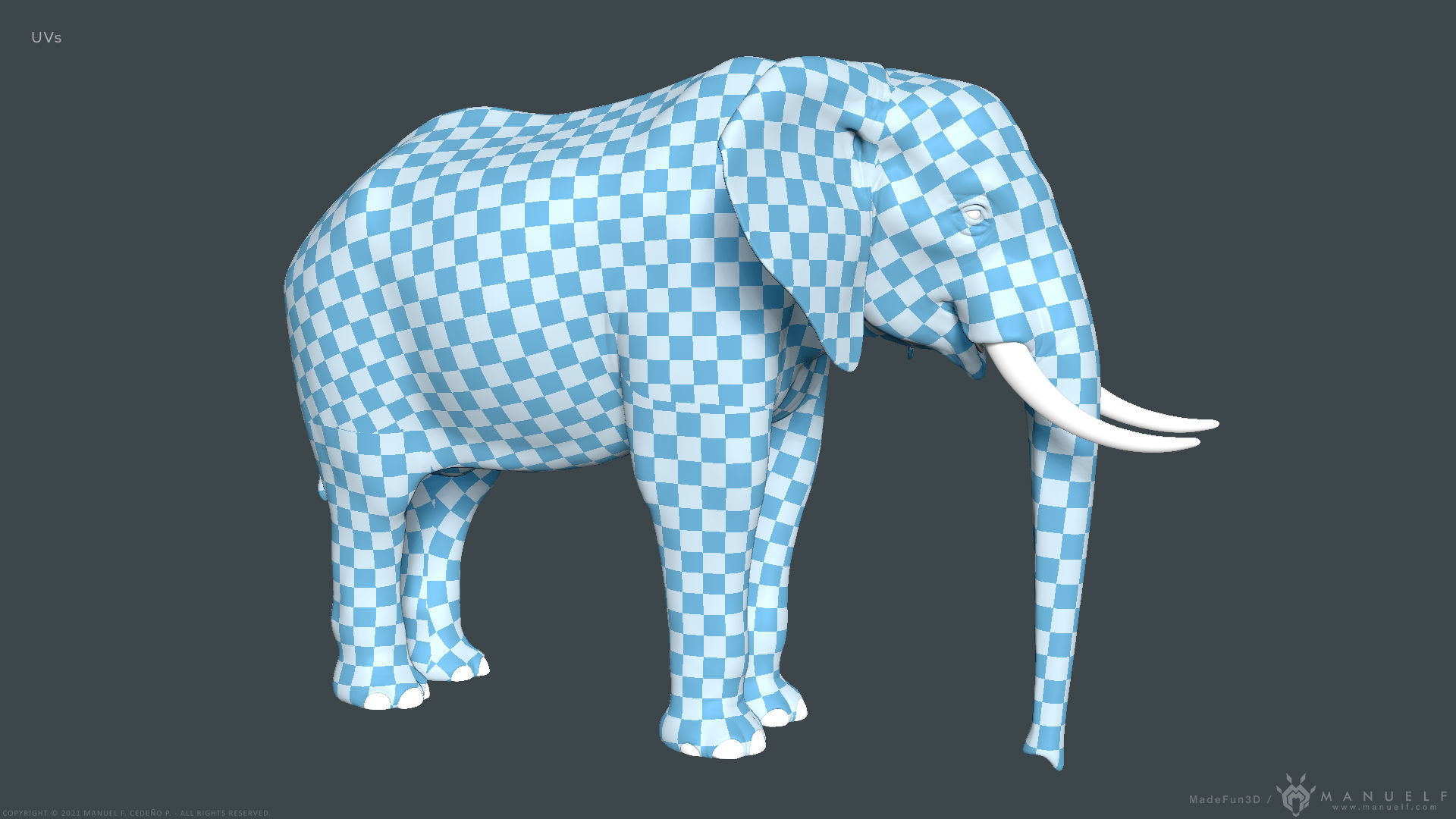 African Bush Elephant 3D model_22