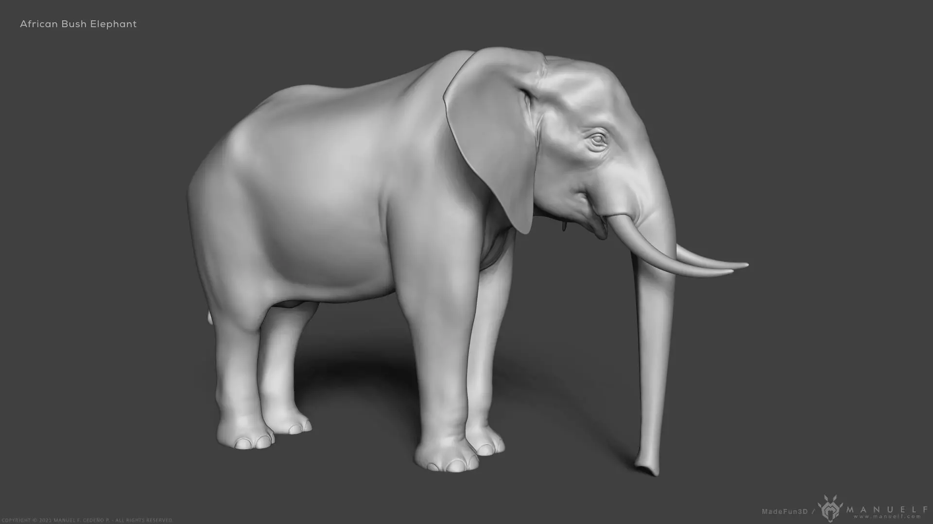 African Bush Elephant 3D model_0