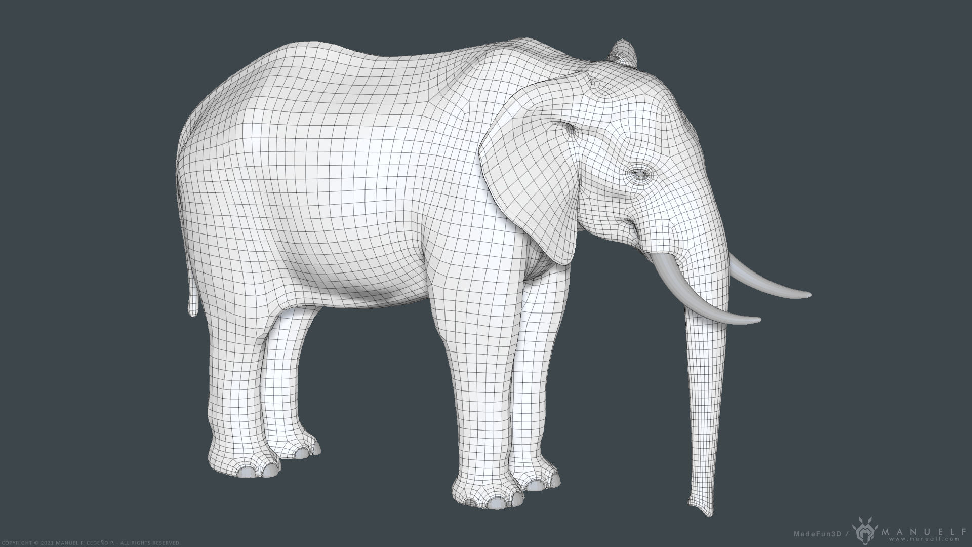 African Bush Elephant 3D model_30