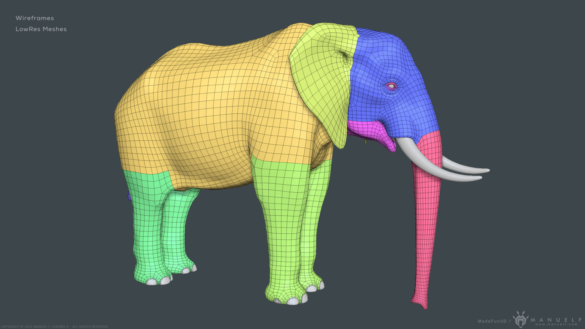 African Bush Elephant 3D model_20