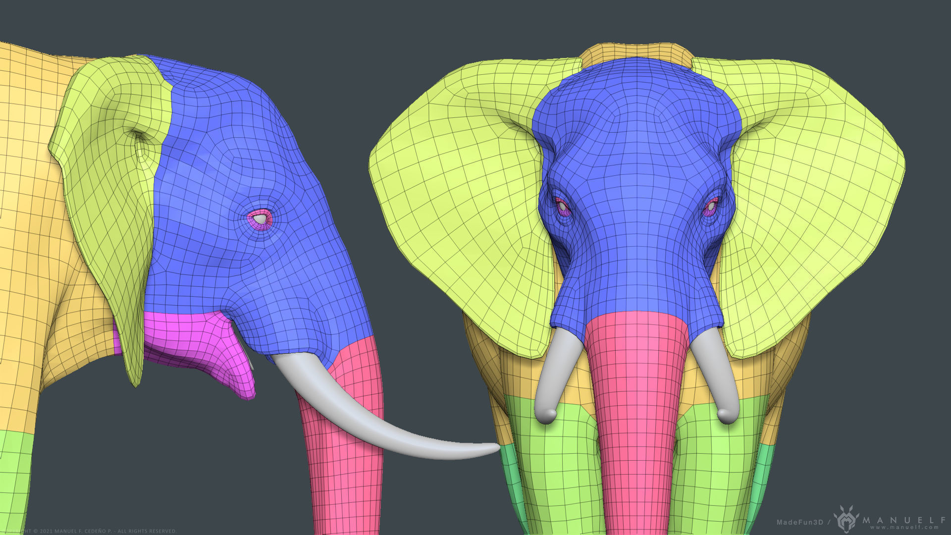 African Bush Elephant 3D model_23